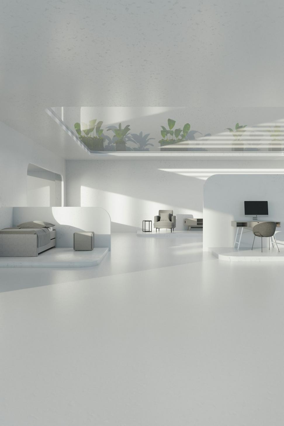 Mid-Century Reno