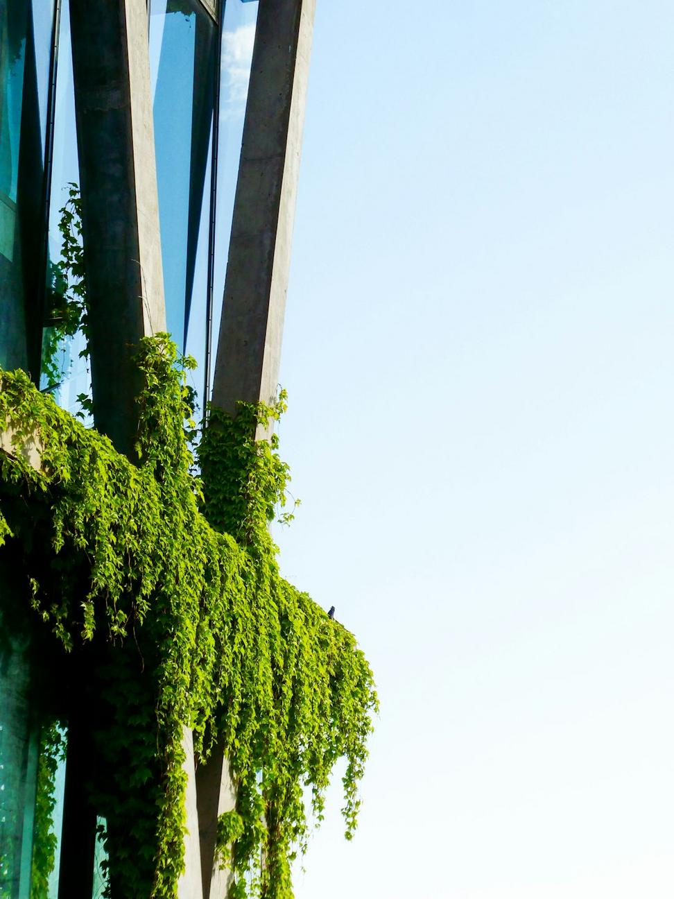 Commercial Office